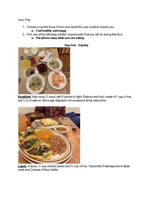 PDF document image preview