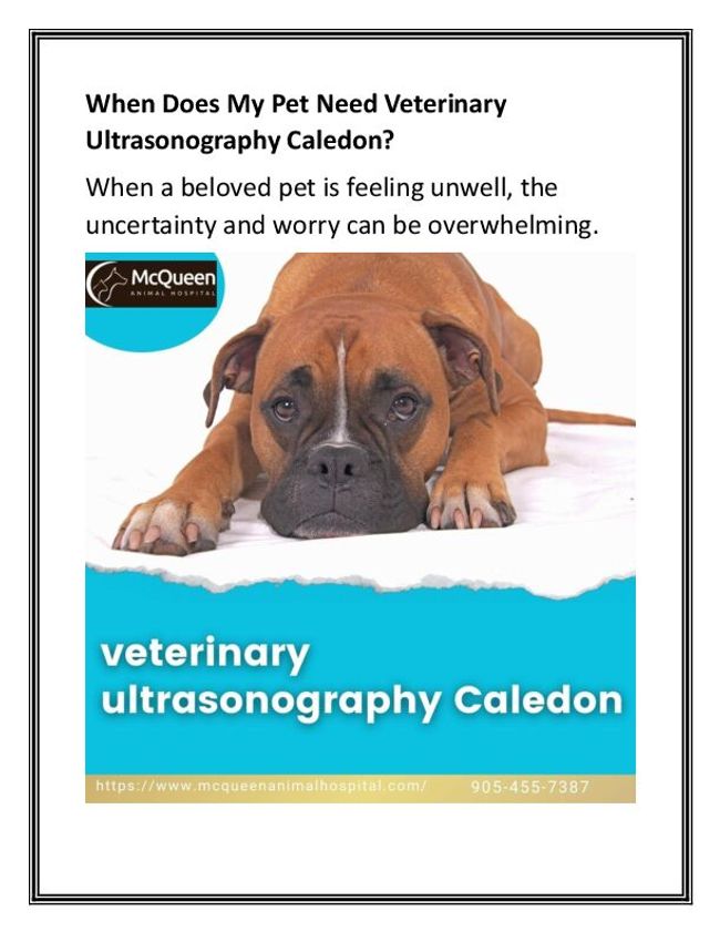 PDF document image preview