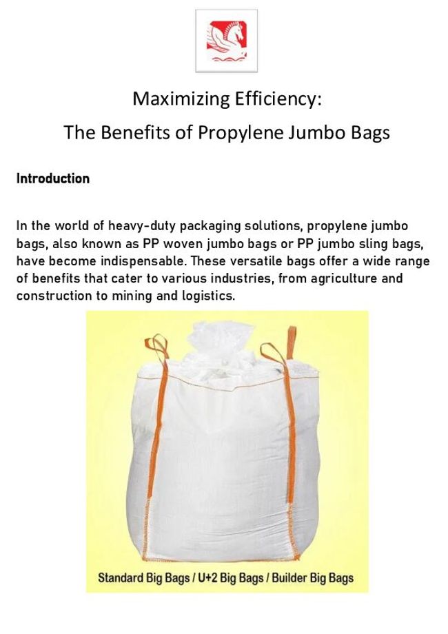 PDF document image preview