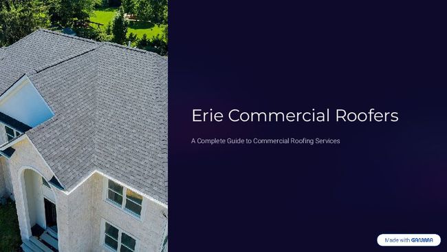 PDF document image preview