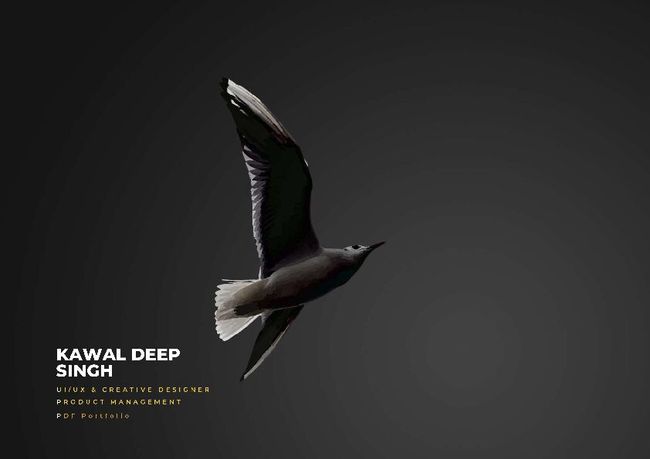 PDF document image preview