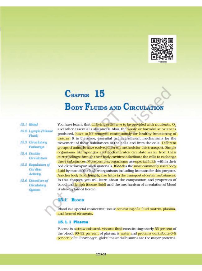 PDF document image preview