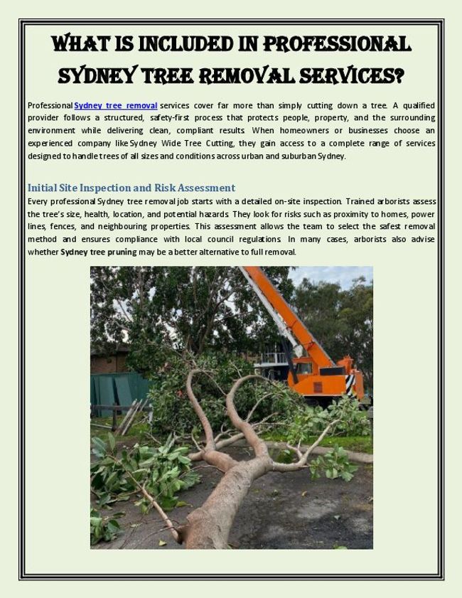 PDF document image preview