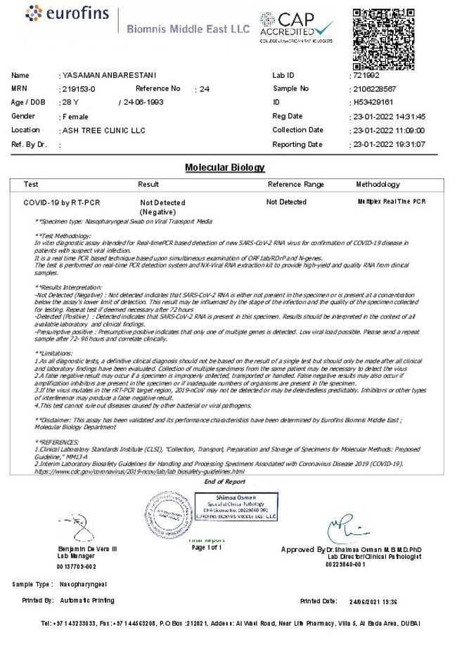 PDF document image preview