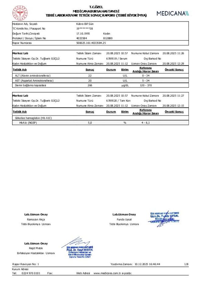 PDF document image preview