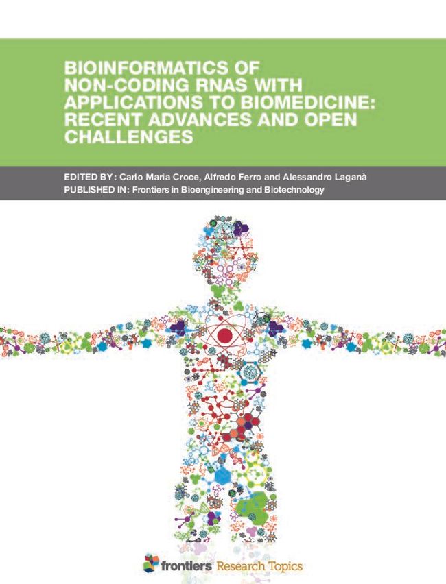 PDF document image preview