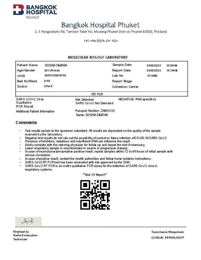 PDF 文件图像预览