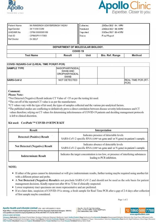 PDF document image preview