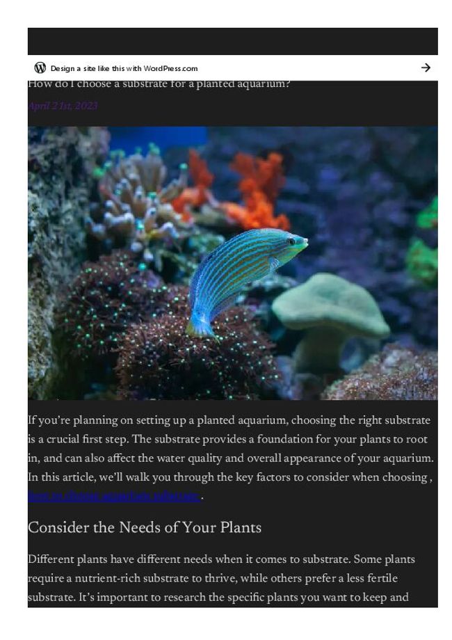 PDF document image preview