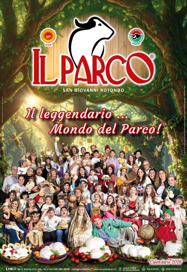 PDF document image preview