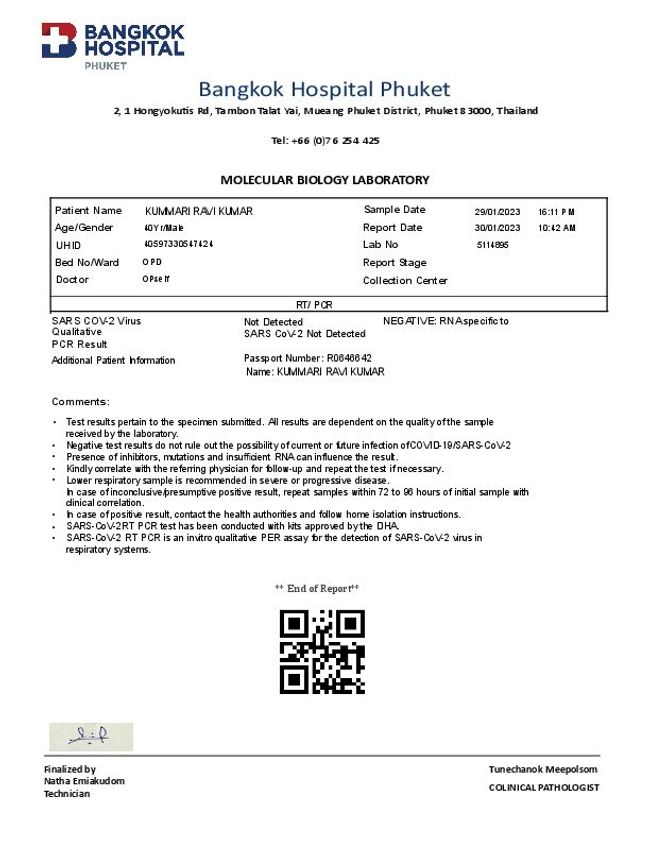 PDF document image preview