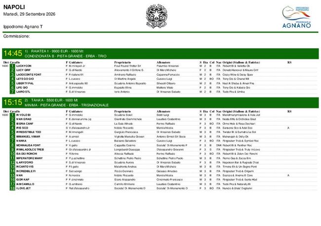 PDF document image preview