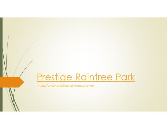 PDF document image preview