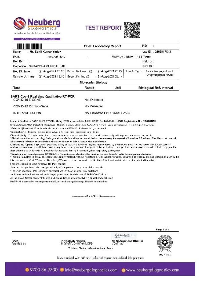 PDF document image preview