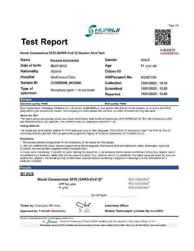 PDF document image preview