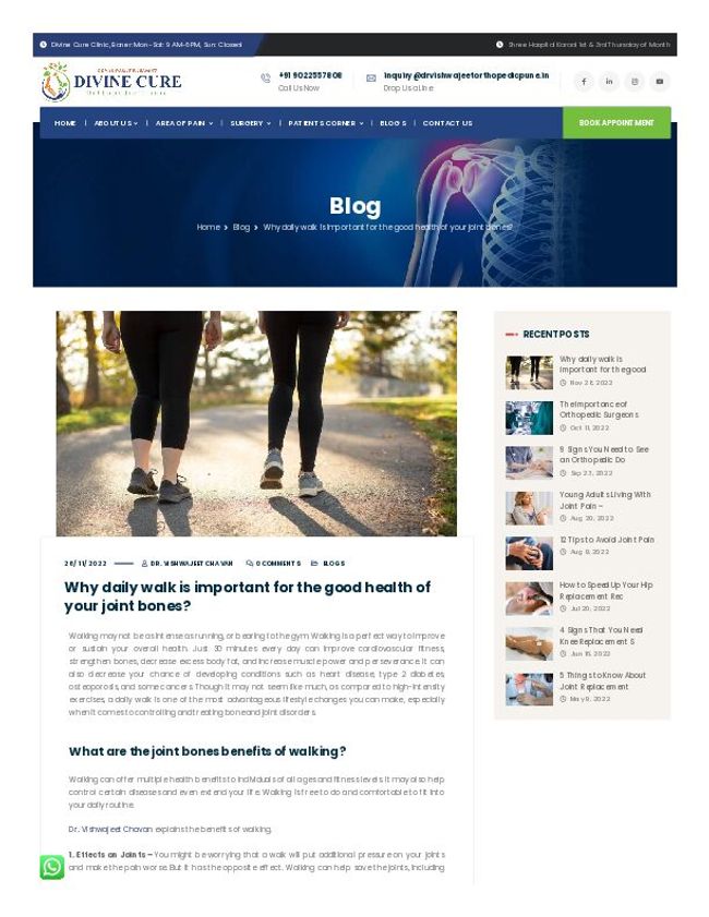 PDF document image preview