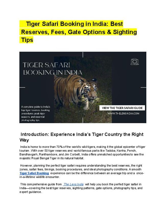 PDF document image preview