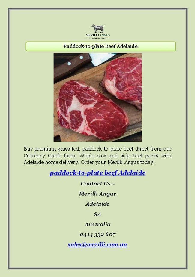 PDF document image preview