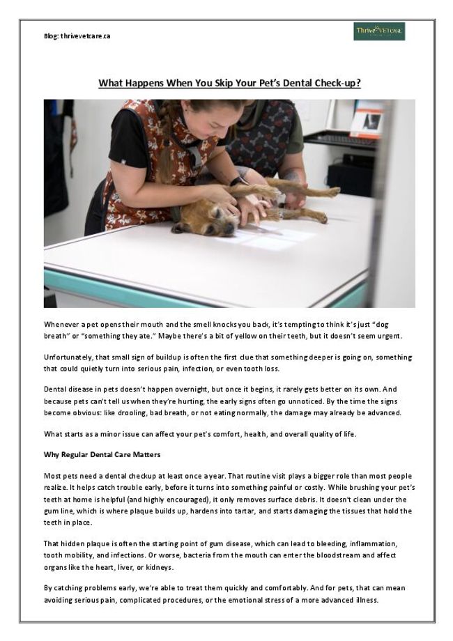 PDF document image preview