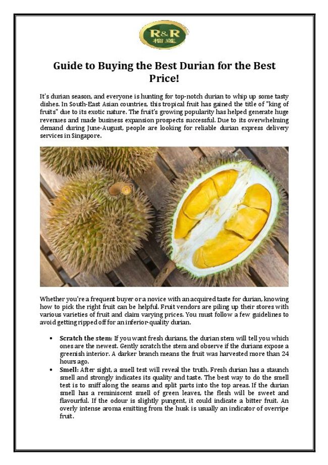 PDF document image preview