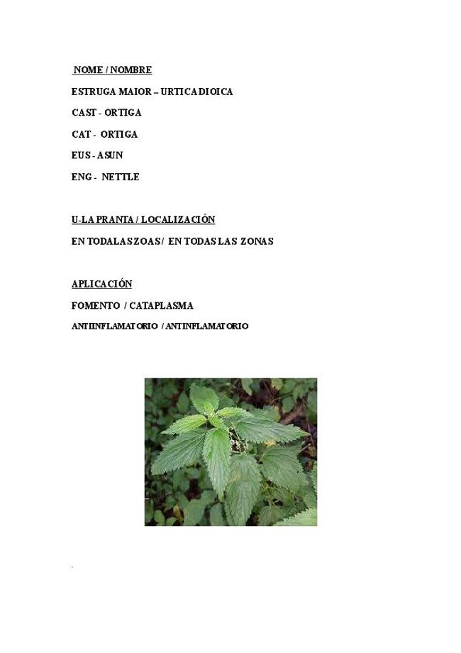 PDF document image preview