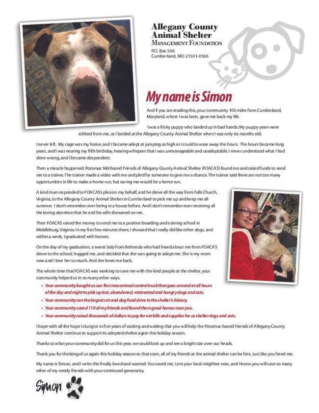 PDF document image preview