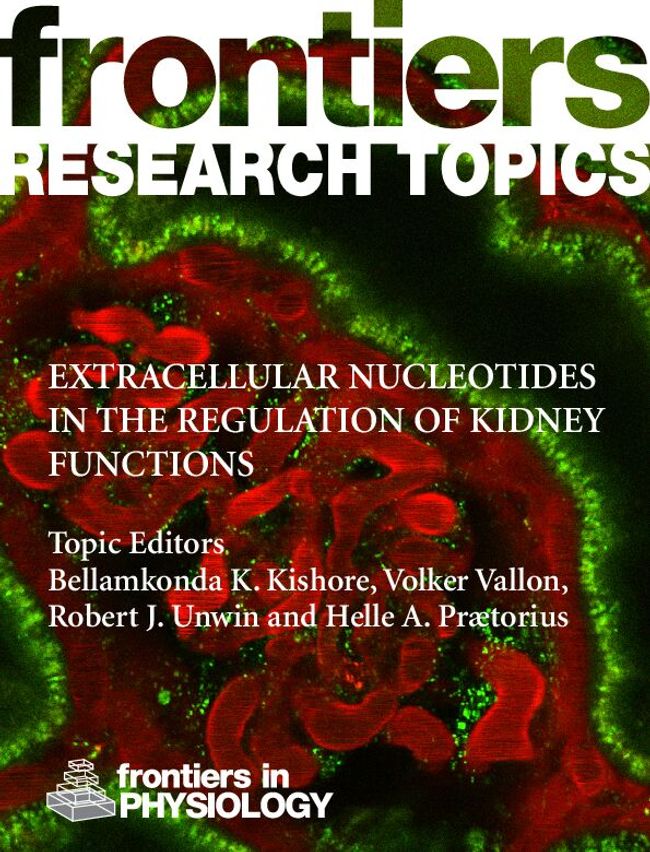 PDF document image preview