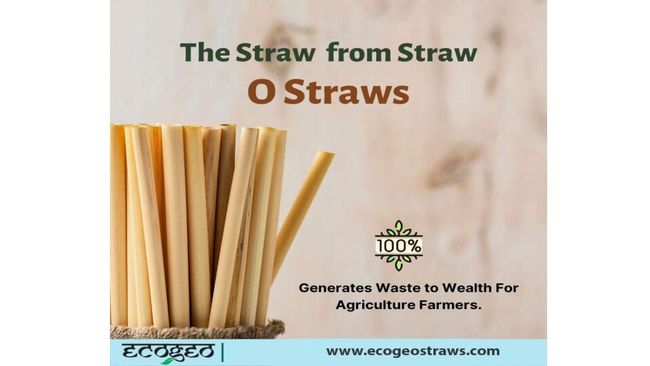 PDF document image preview