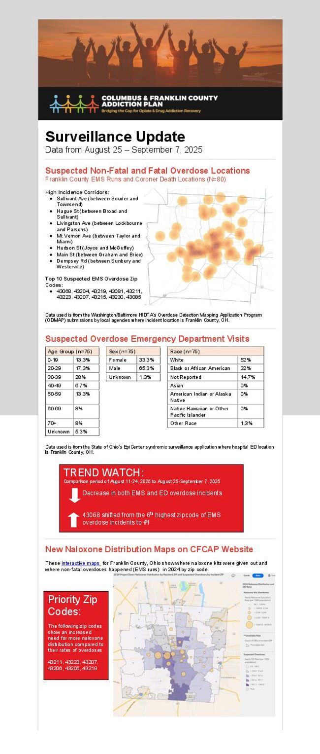 PDF document image preview