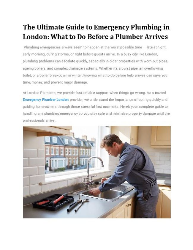 PDF document image preview