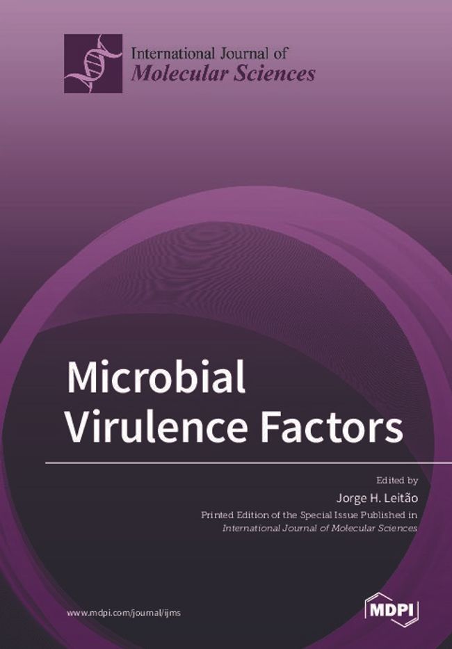 PDF document image preview