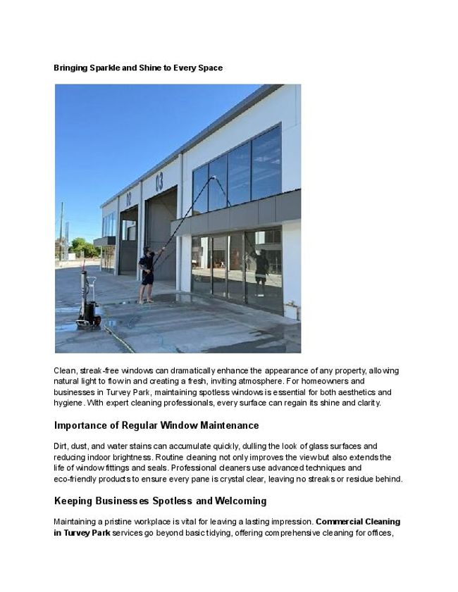 PDF document image preview