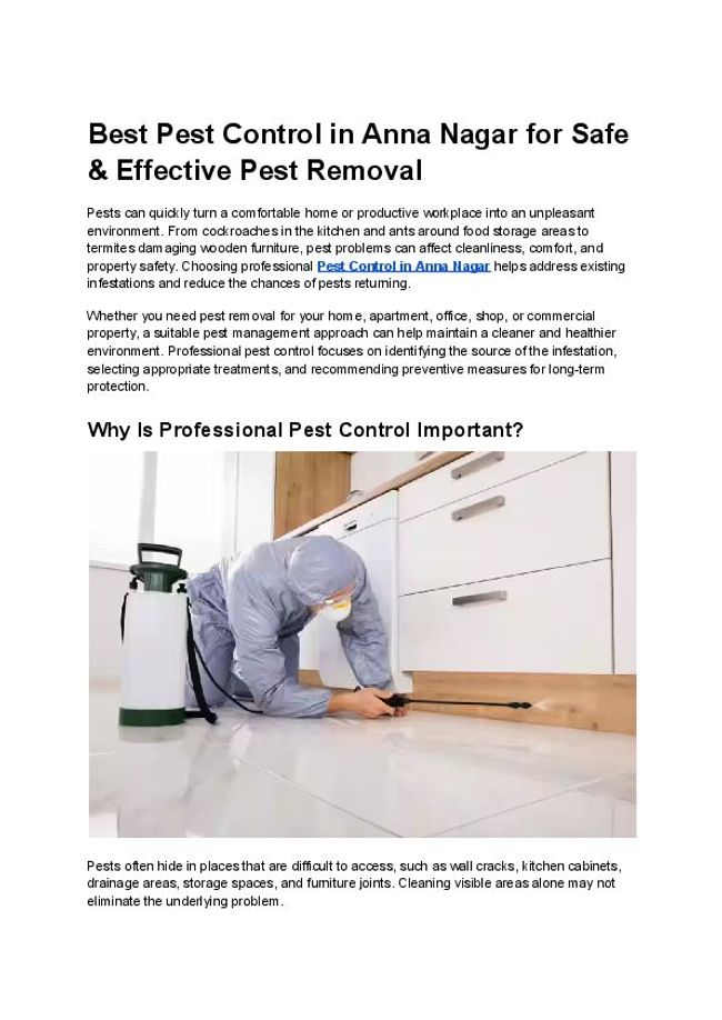 PDF document image preview