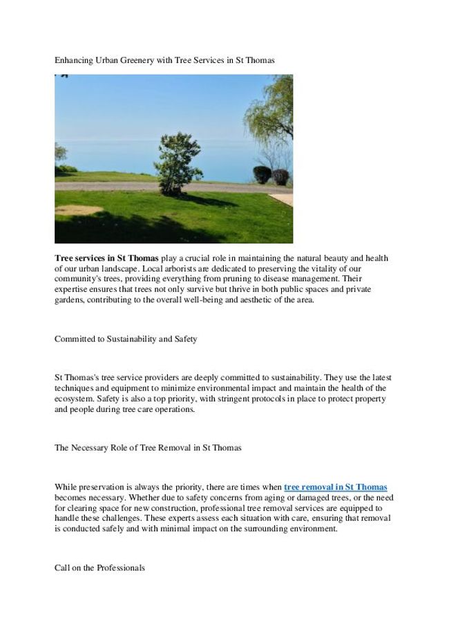 PDF document image preview