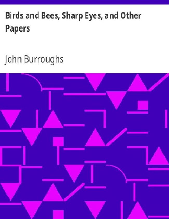 PDF document image preview