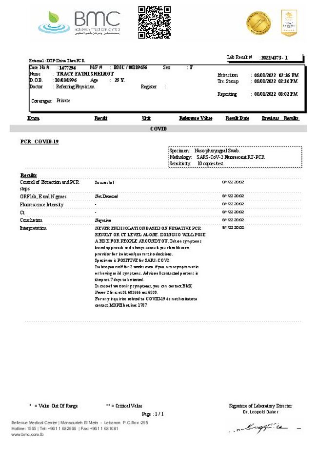 PDF document image preview