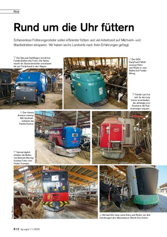 PDF document image preview