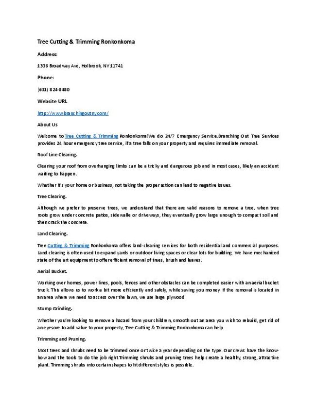 PDF document image preview