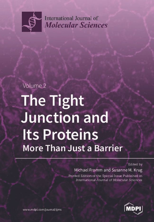 PDF document image preview