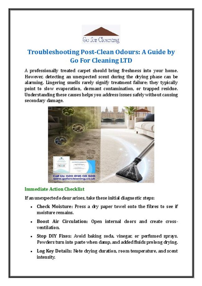 PDF document image preview