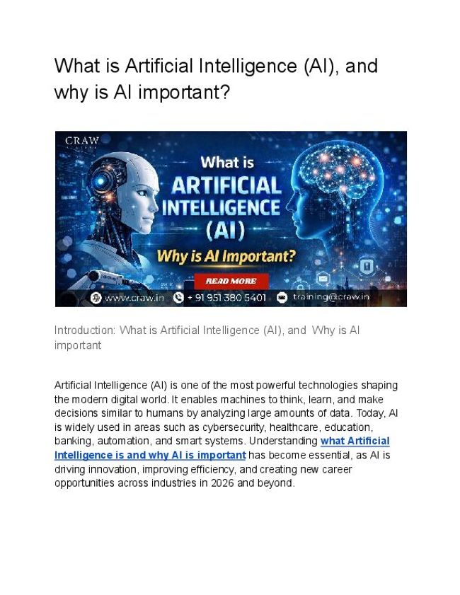 PDF document image preview
