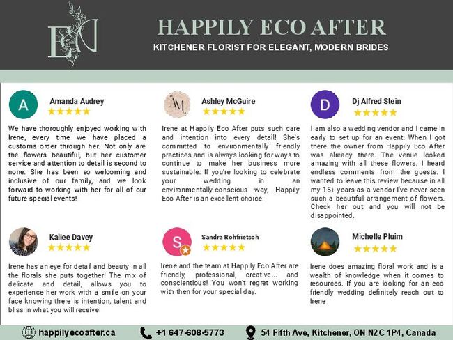 PDF document image preview