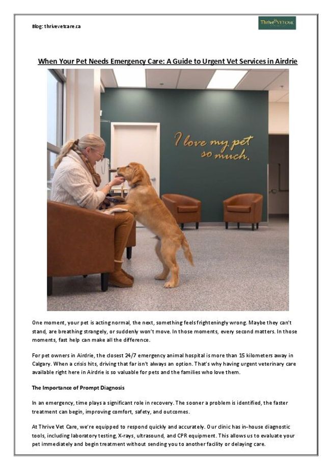 PDF document image preview