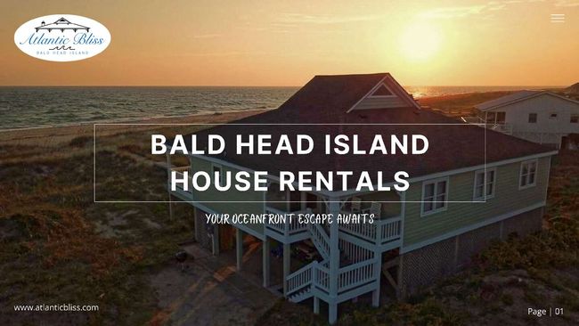 PDF document image preview