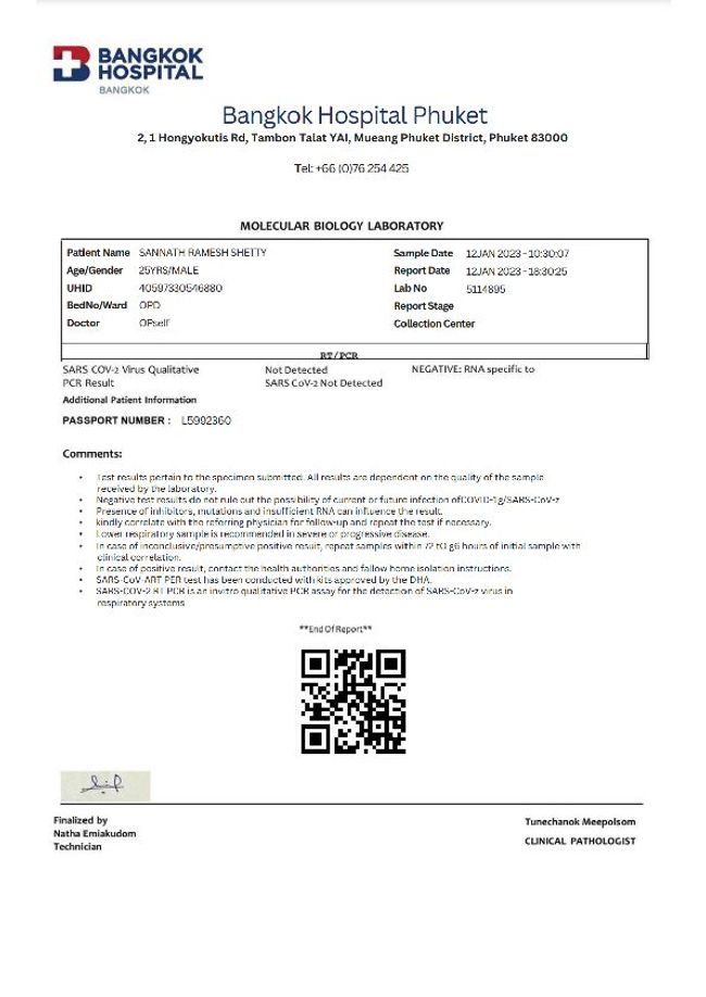 PDF document image preview