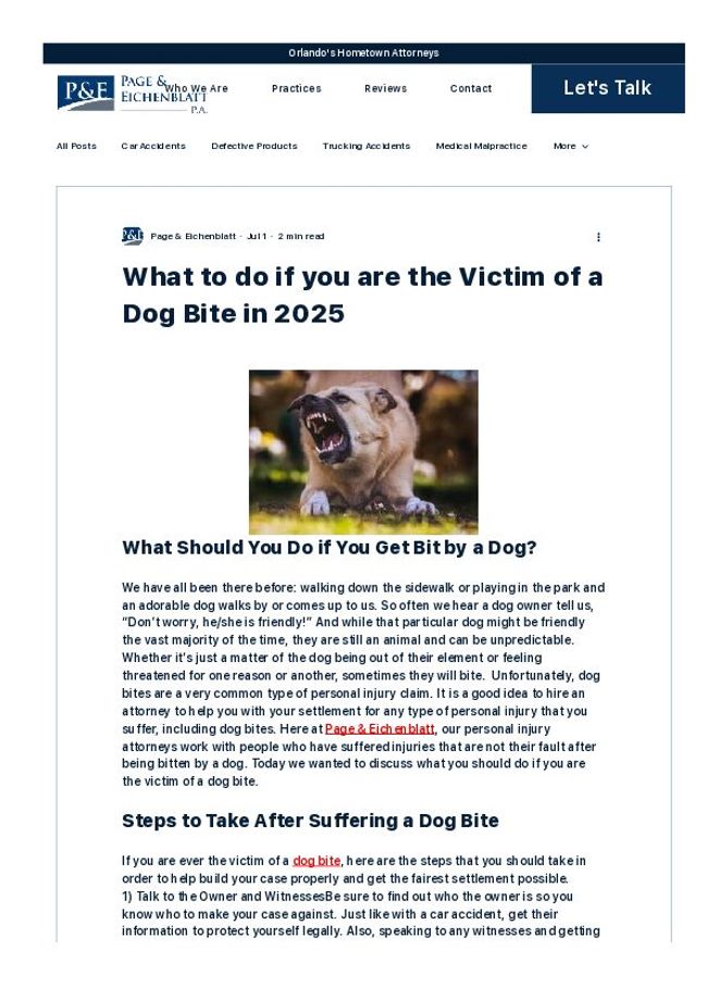 PDF document image preview