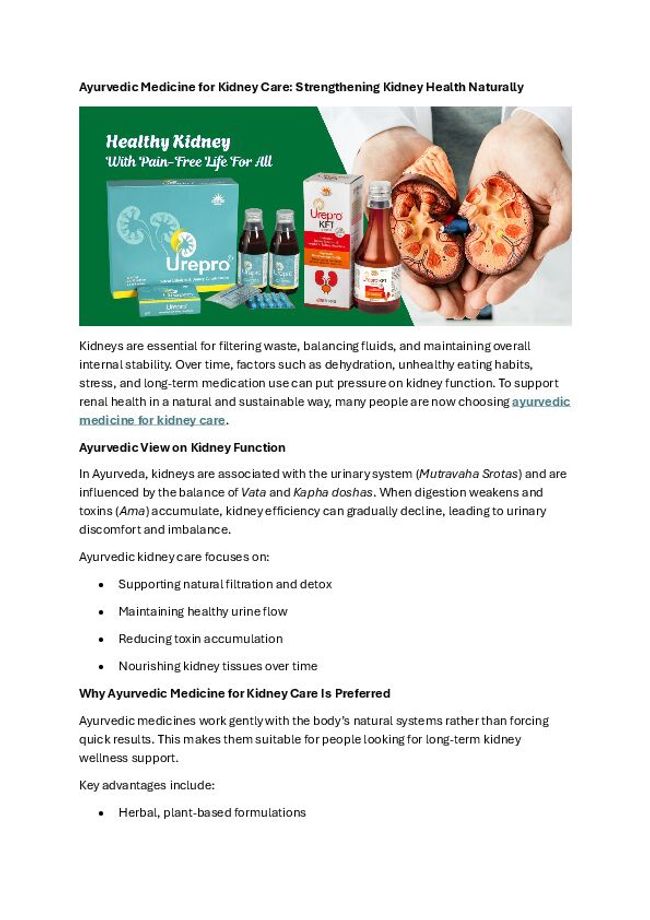 PDF document image preview