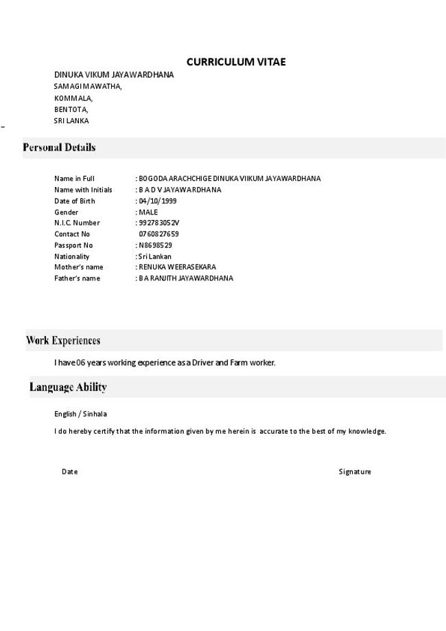 PDF document image preview