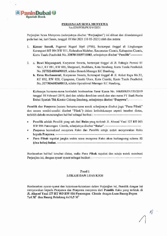 PDF document image preview