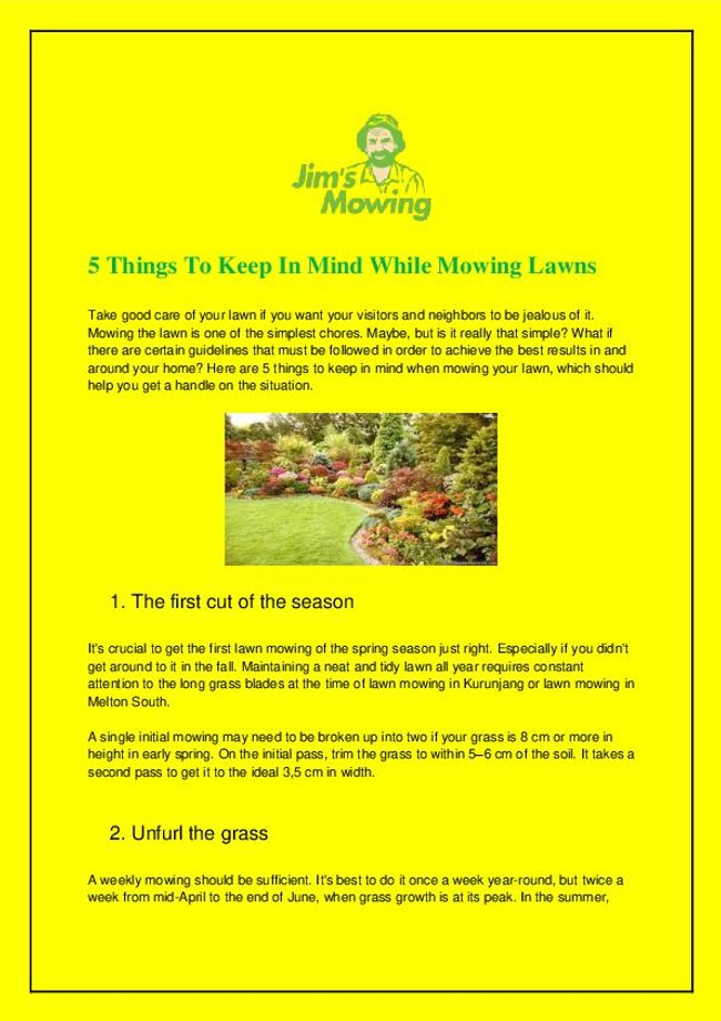 PDF document image preview